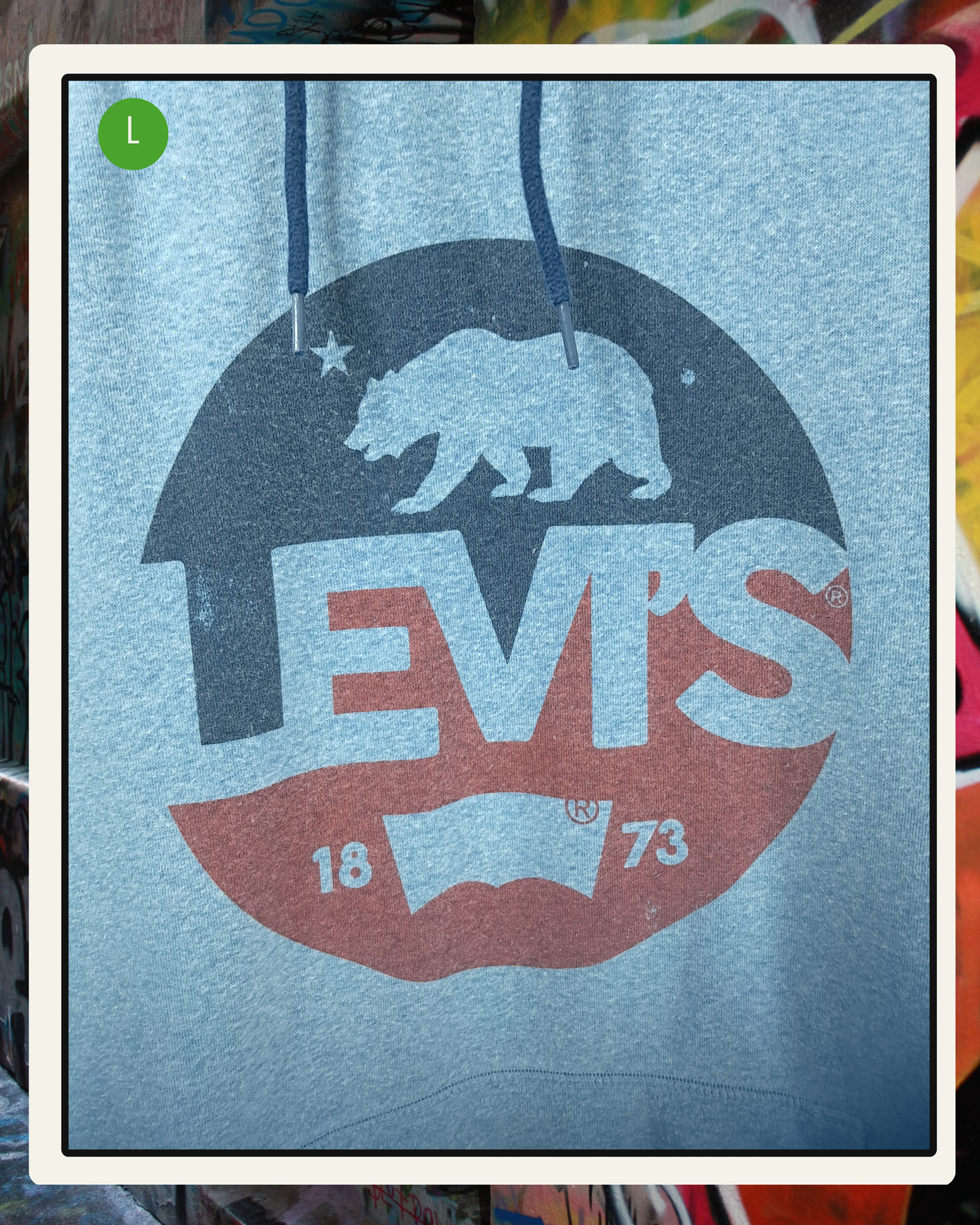 Levi's Hoodie Raglan Celeste/Azul